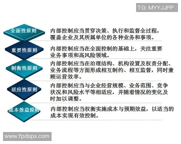 杭州排球队意识提升之路：从团队协作到战术创新的全面探讨