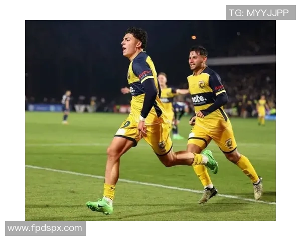 惠灵顿凤凰对阵中央海岸水手2019赛季精彩直播回顾与分析